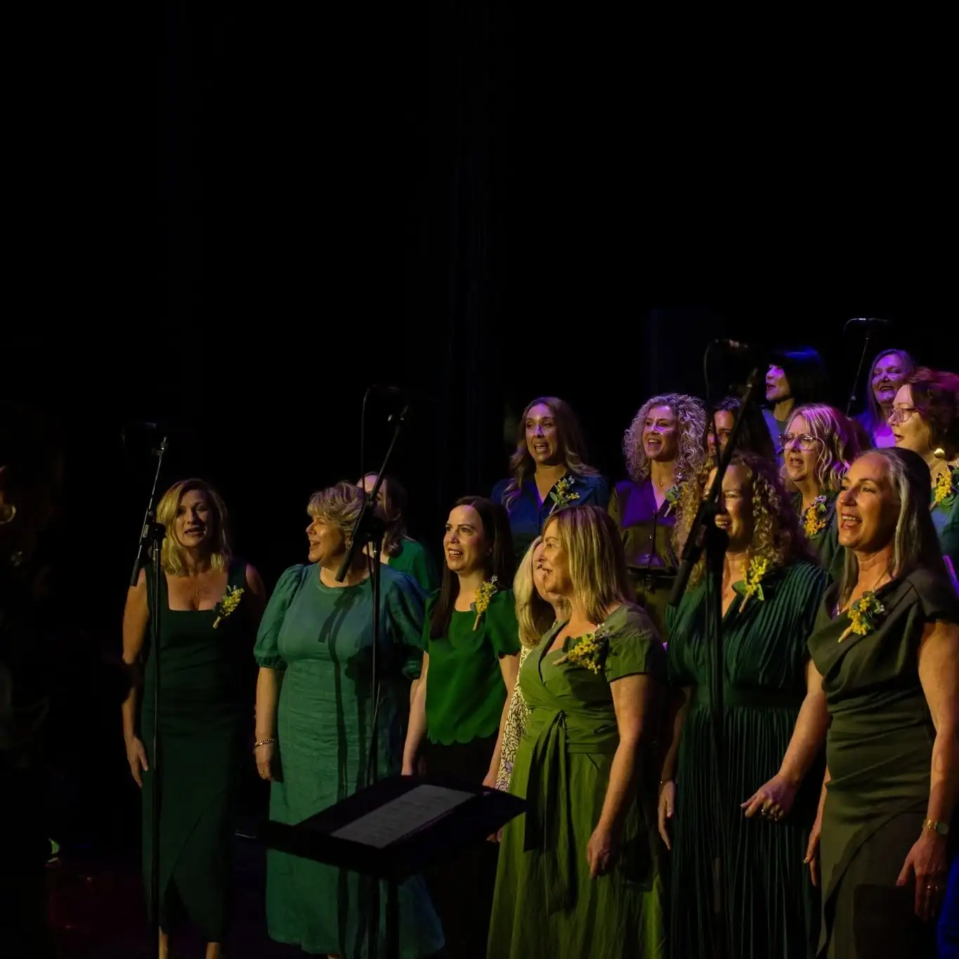 The Sing!OZ choir in concert